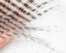 Craft Fur Grizzly, Light Salmon / 31